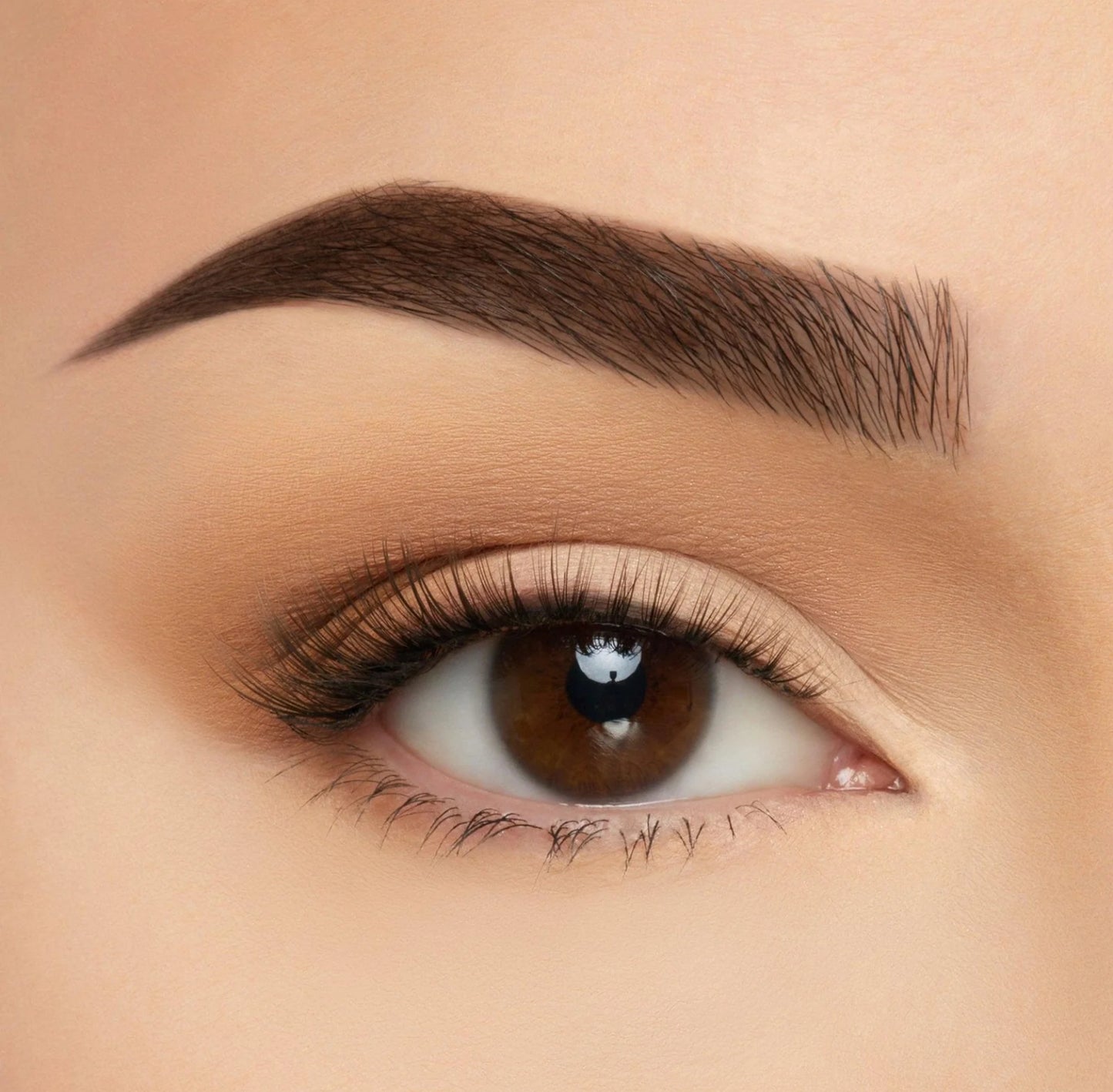 Beauty Creation Lashes✨