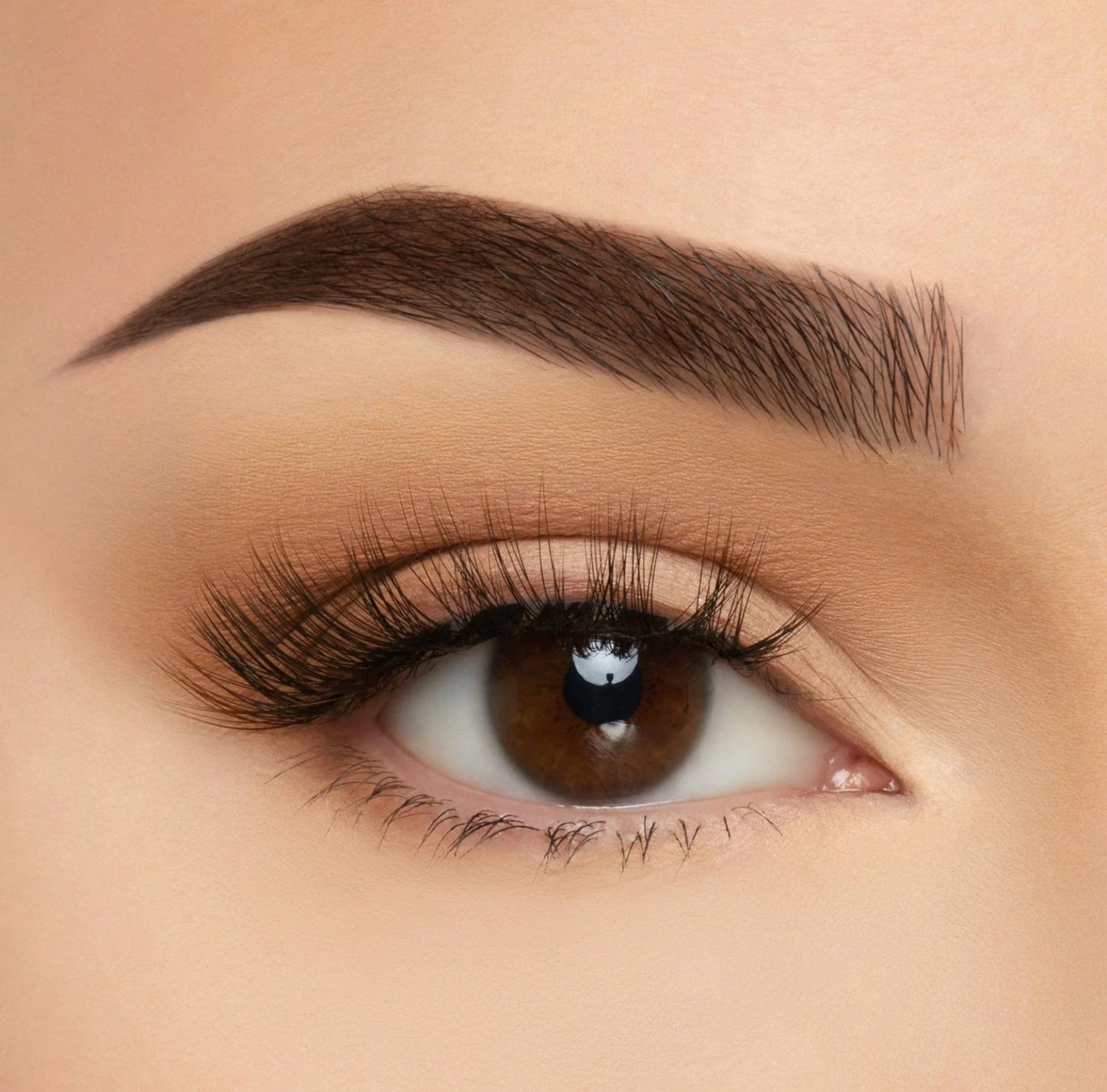 Beauty Creation Lashes✨