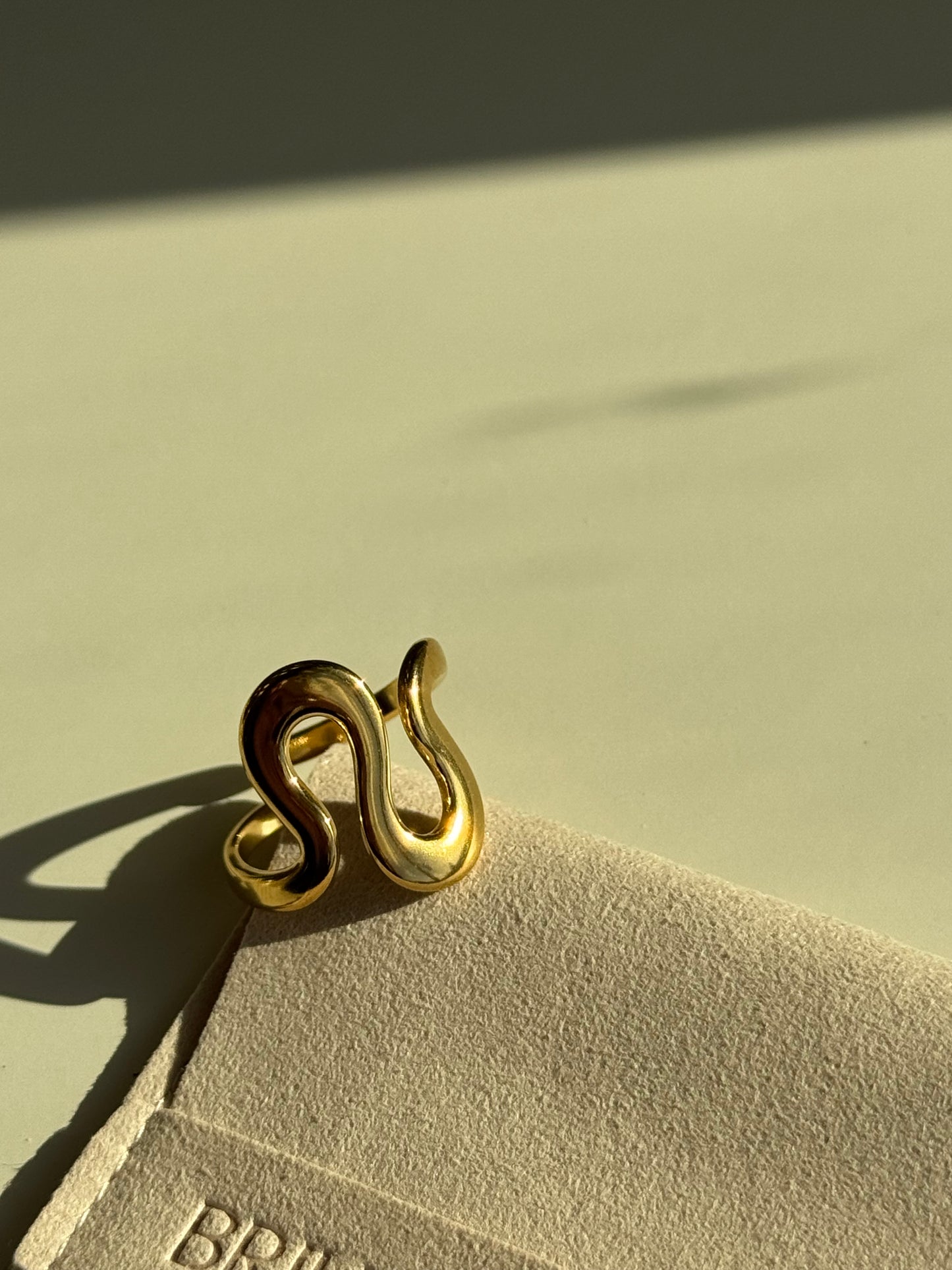Eternal whirl ring