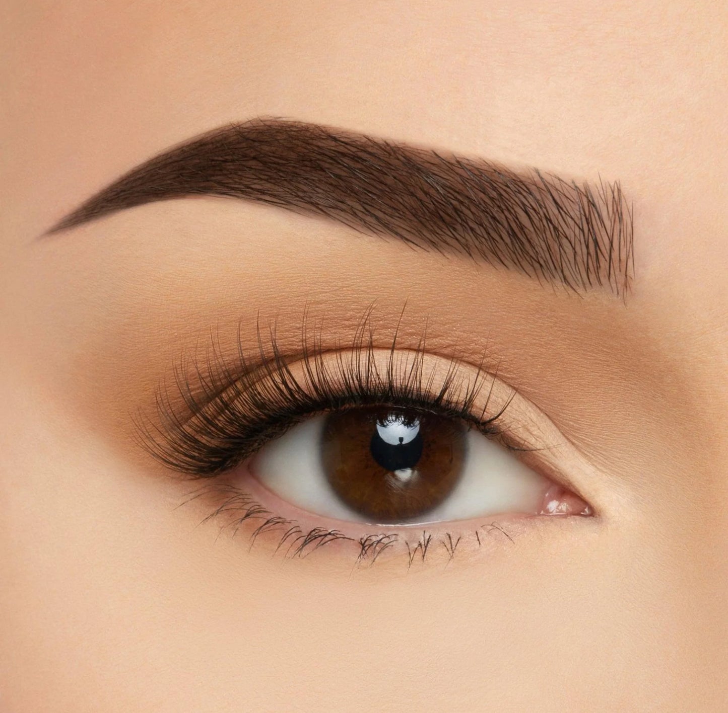 Beauty Creation Lashes✨