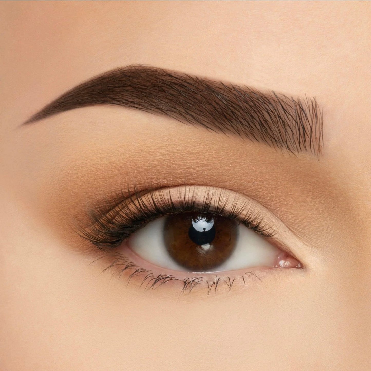 Beauty Creation Lashes✨